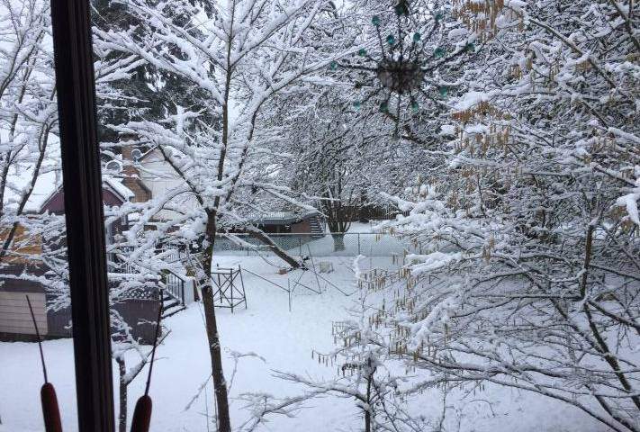 Snow on the ground in Metro Vancouver has not been a common sight so far this year.