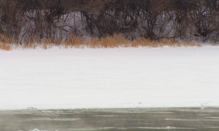 The body of a 35-year-old man was found on the river ice southwest of Saskatoon on Feb. 25, 2018.