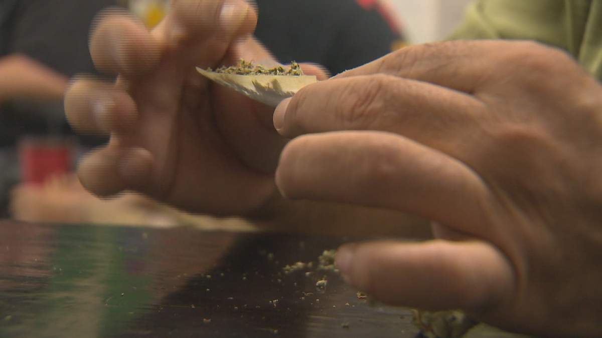Marijuana user rolling joint.