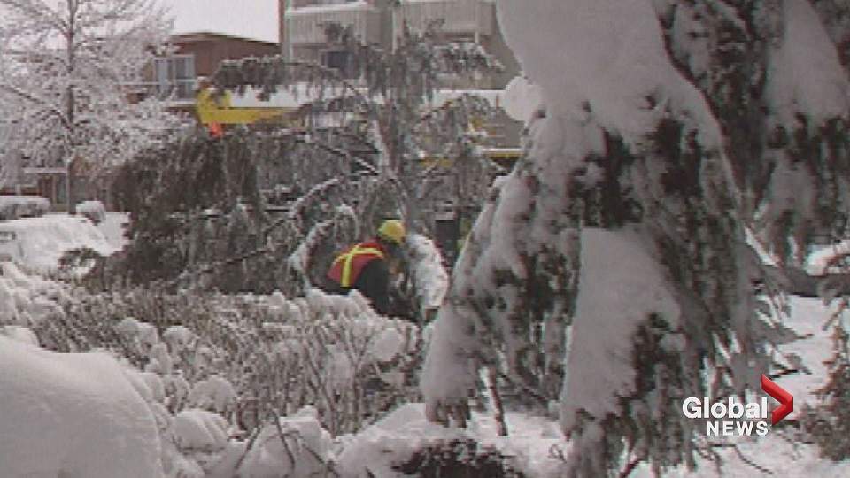 A Calgary St. Patrick’s Day to remember: Remembering the 1998 blizzard - image