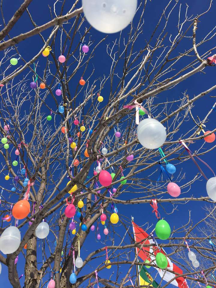 The Your Saskatchewan photo for March 29 was taken by Marcea Malinowski in Aberdeen of the Aberdeen Easter Miracle Tree.