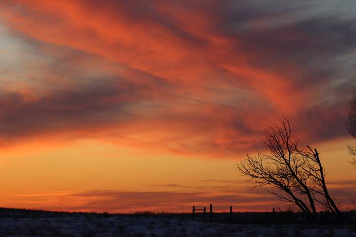 Brenda Gawluk took the Your Saskatchewan photo for March 30 near Saskatoon.