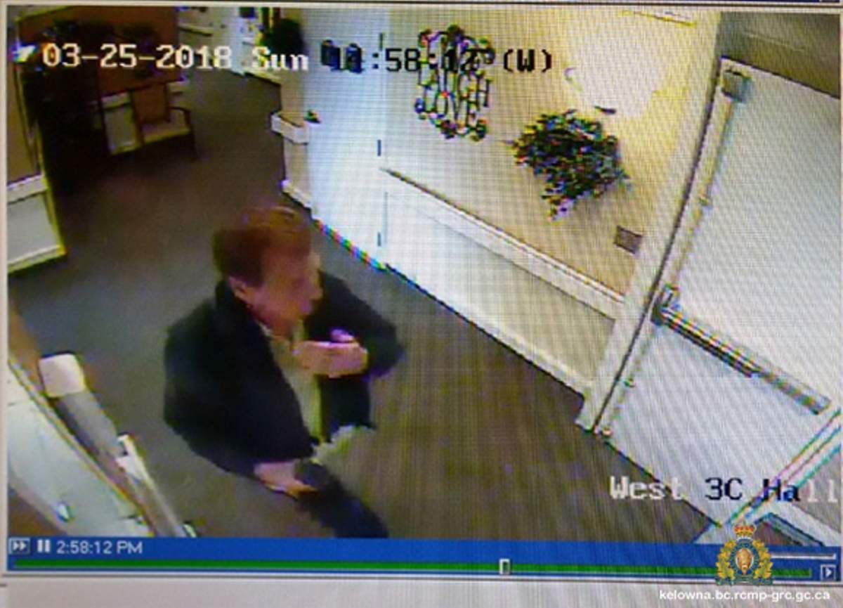 Volunteers converge on West Kelowna in search for missing 72-year-old man - image