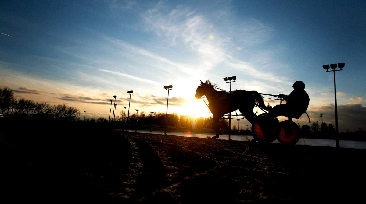 A standard bred racing driver is silhouetted with his horse at sunset, while practicing on Friday, Feb. 9, 2007 at the Flamboro Downs race track in Flamborough, Ont. 