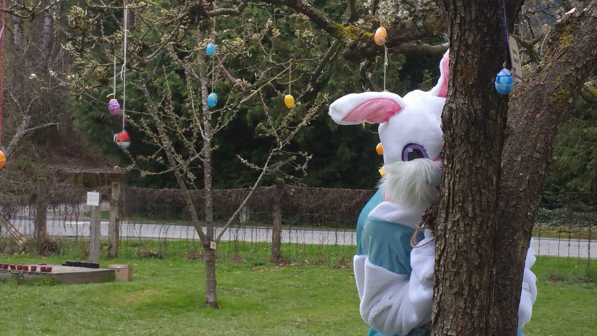 The activities will be open daily from March 30 until April 8 from 10:00 a.m. to 4:00 p.m.