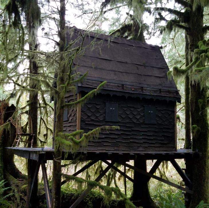 The FBI began an active investigation into who used the cabin using DNA and fingerprint evidence.