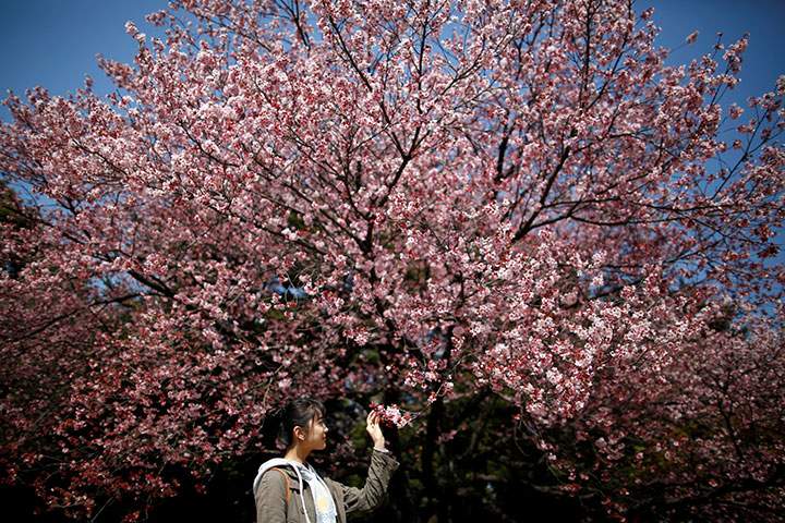 The World Parkinson Congress will take place in June in Kyoto, Japan.