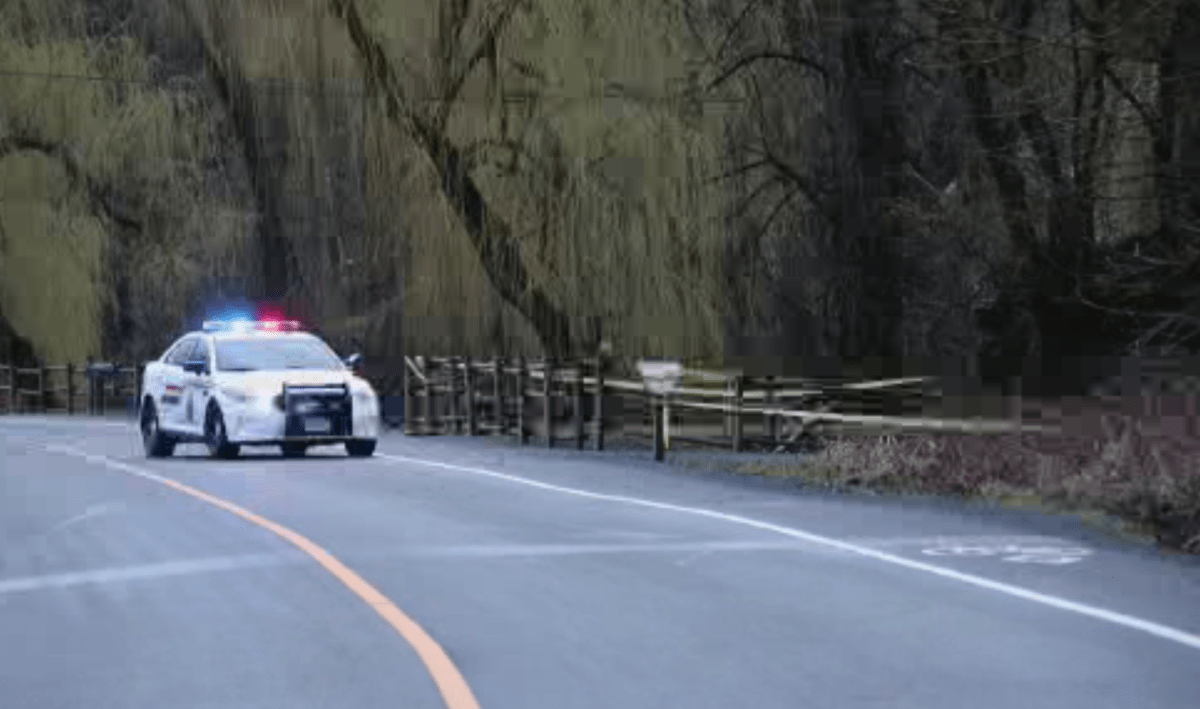 An RCMP cruiser on Chilliwack River Road, after reports that a vehicle drove into a ditch on March 23, 2018.