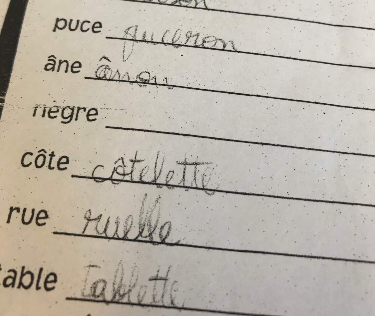 A copy of the assignment that the children say they received from Academie Saint-Clement.