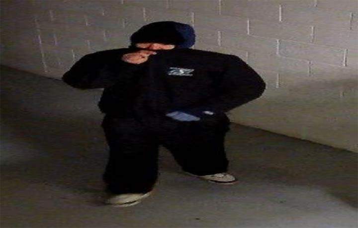 Police released this photo from a break and enter at the Margo Fournier Centre on Feb. 12, 2018.