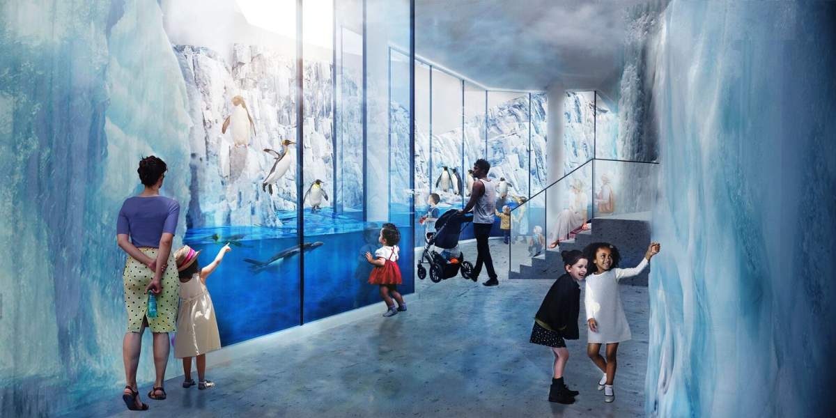 Preview of the ice wall being built for penguins at the Biodome.