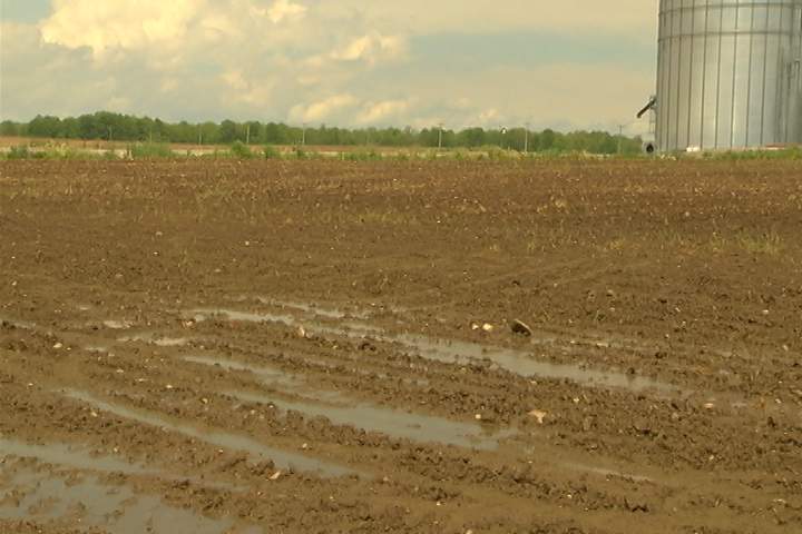 An expansion of Hamilton's urban boundary into 1,310 hectares of rural land to accomodate future residential growth, has been rejected by Hamilton city councillors.