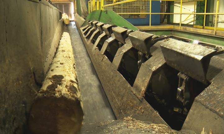 Sales generated by the Saskatchewan forestry industry increased 21 per cent in 2017 over the previous year.