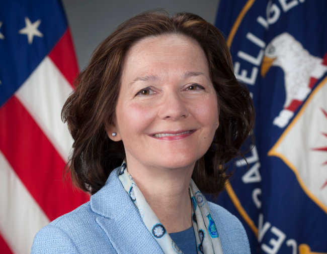 CIA releases personal tidbits about Gina Haspel, Trump’s pick for CIA director - image