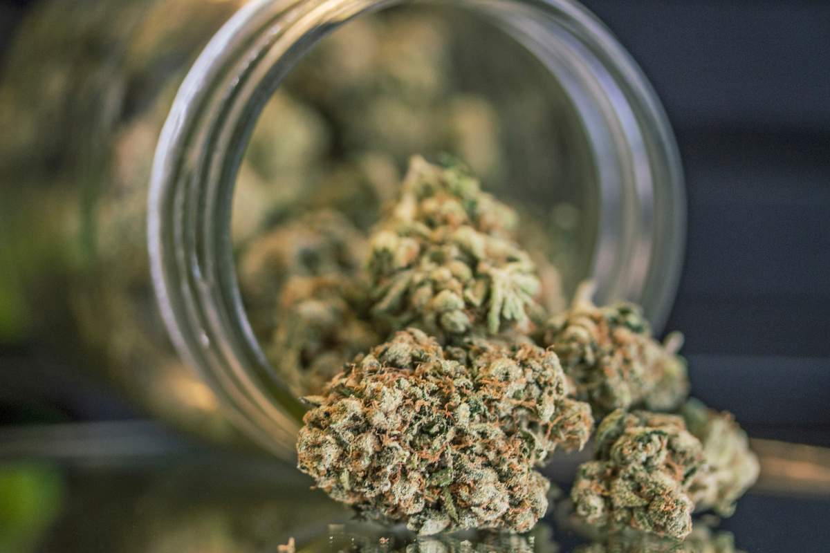Several recent studies indicate that in U.S. states where cannabis has been legalized, opioid prescription rates went down.