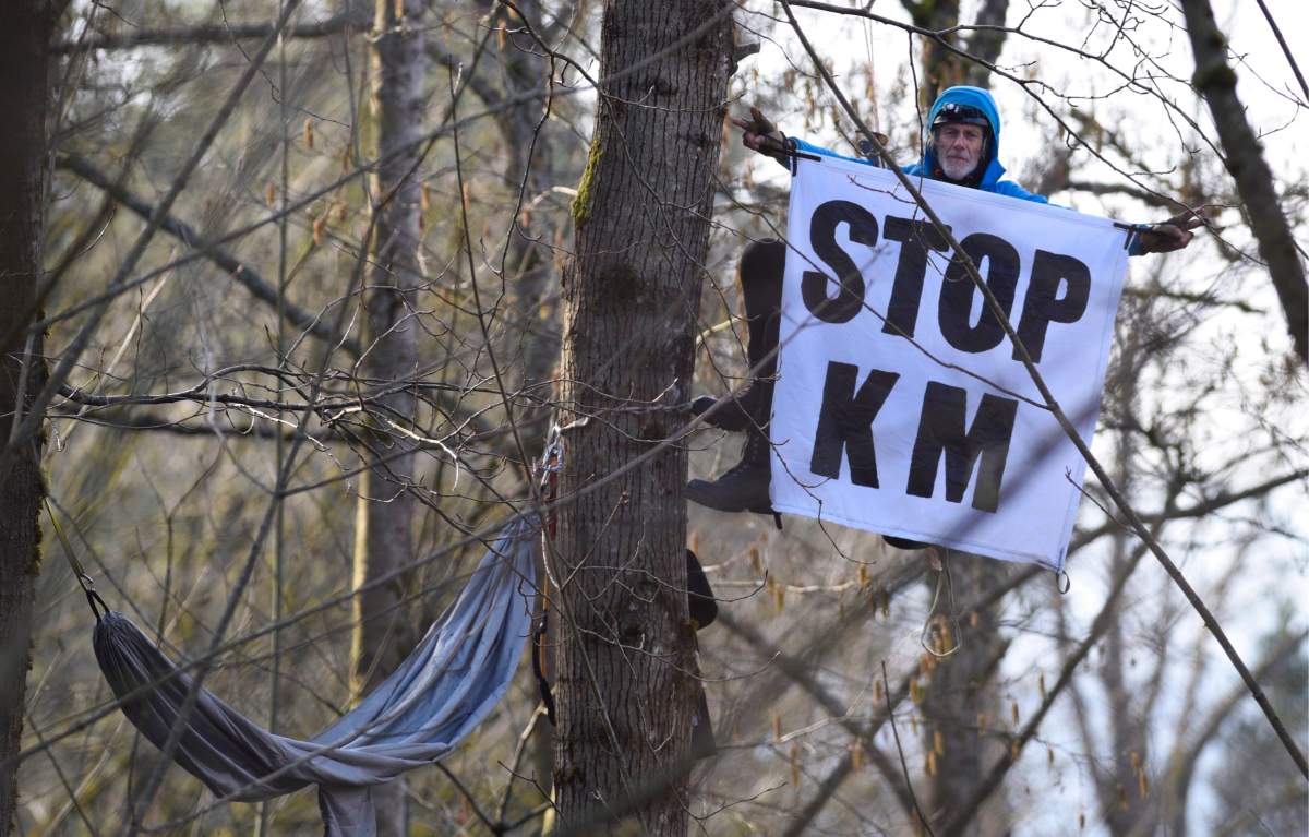 Terry Christenson has nestled his hammock between branches to stop Kinder Morgan form clear cutting. 