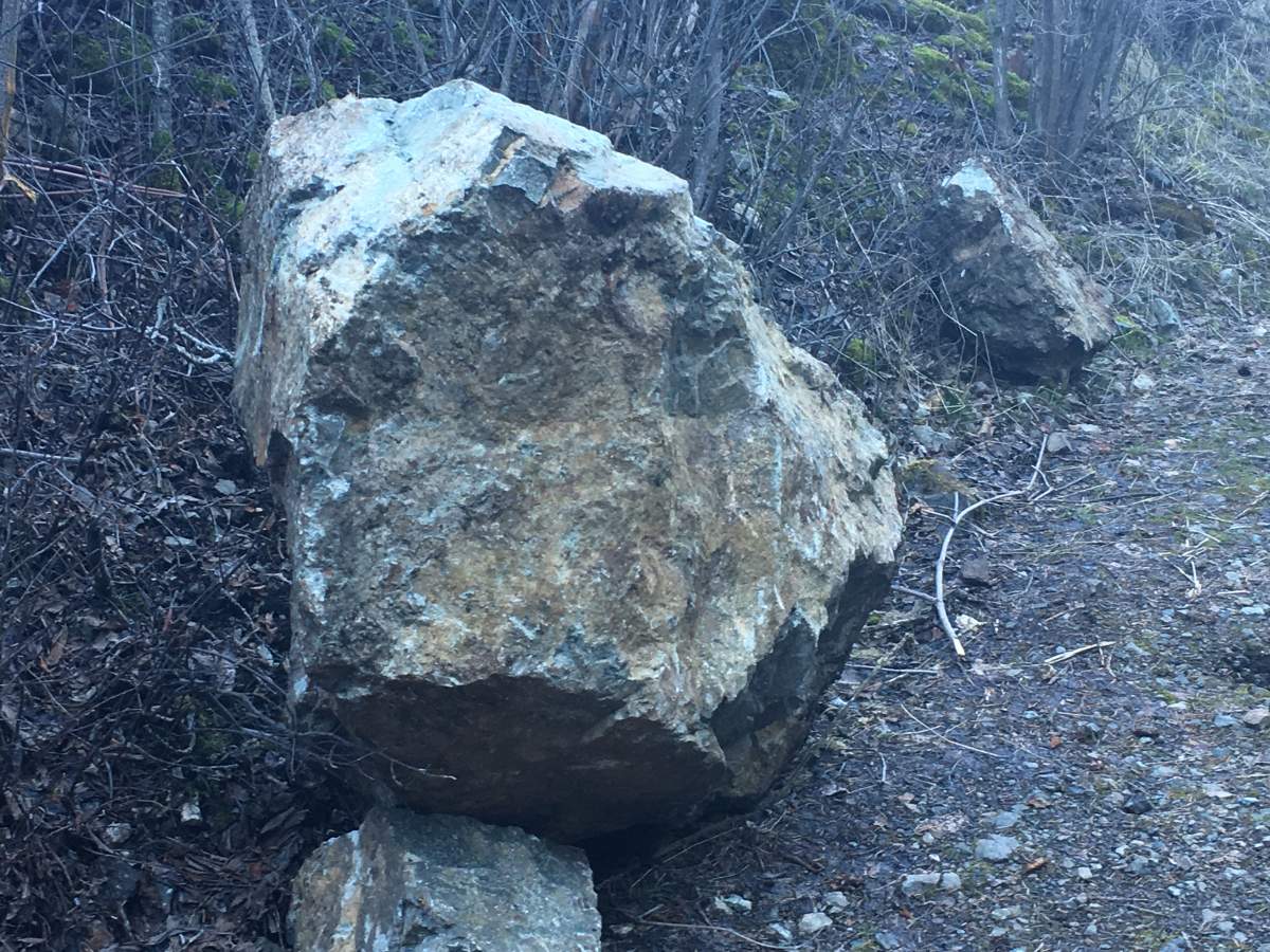 Okanagan Falls rock slide kills 81-year-old man - image