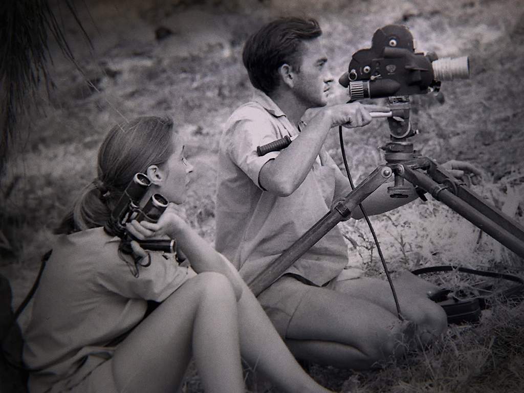 Goodall watches as Hugo van Lawick operates a film camera.