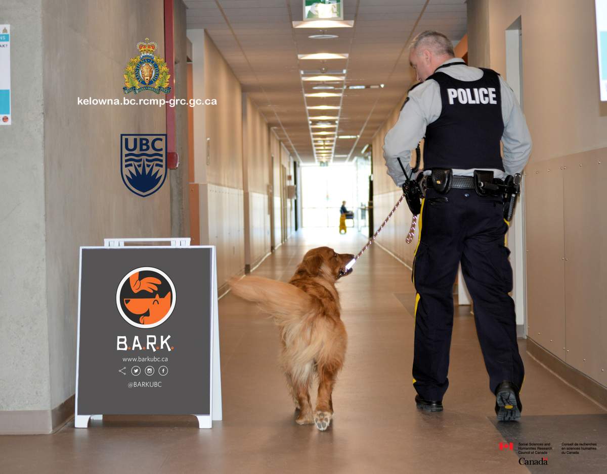Kelowna RCMP test pilot project using animals to reduce work stress - image