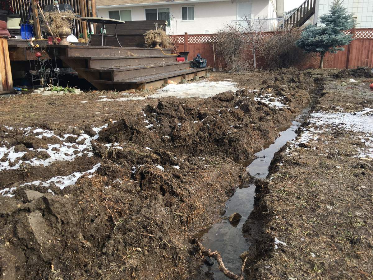 More Kelowna homes flooded, residents point blame at new construction above - image