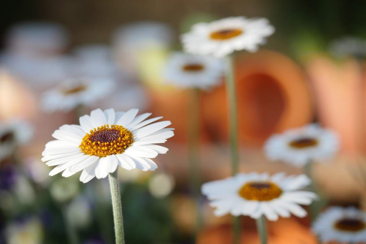 Spring is coming, but will be slow to arrive.