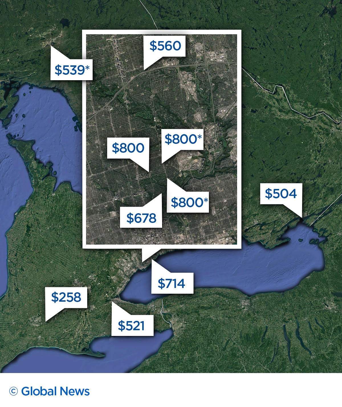 Veterinary pricing: Costs for services and procedures vary wildly, here’s why - image