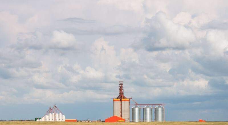 Rail backlog hurting Manitoba farmers - image