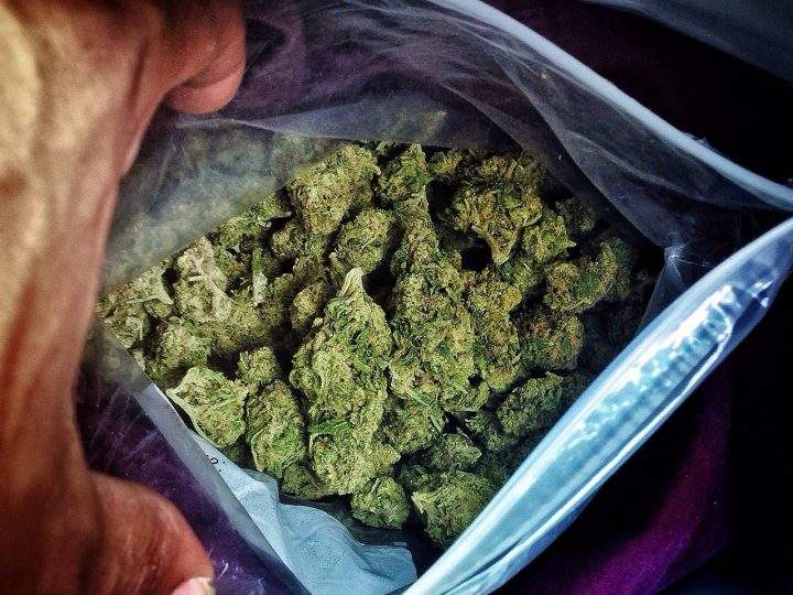 Best Buds Society, a local pot-shop, posted on their Facebook page on the evening of March 28 that police had raided their downtown shop.