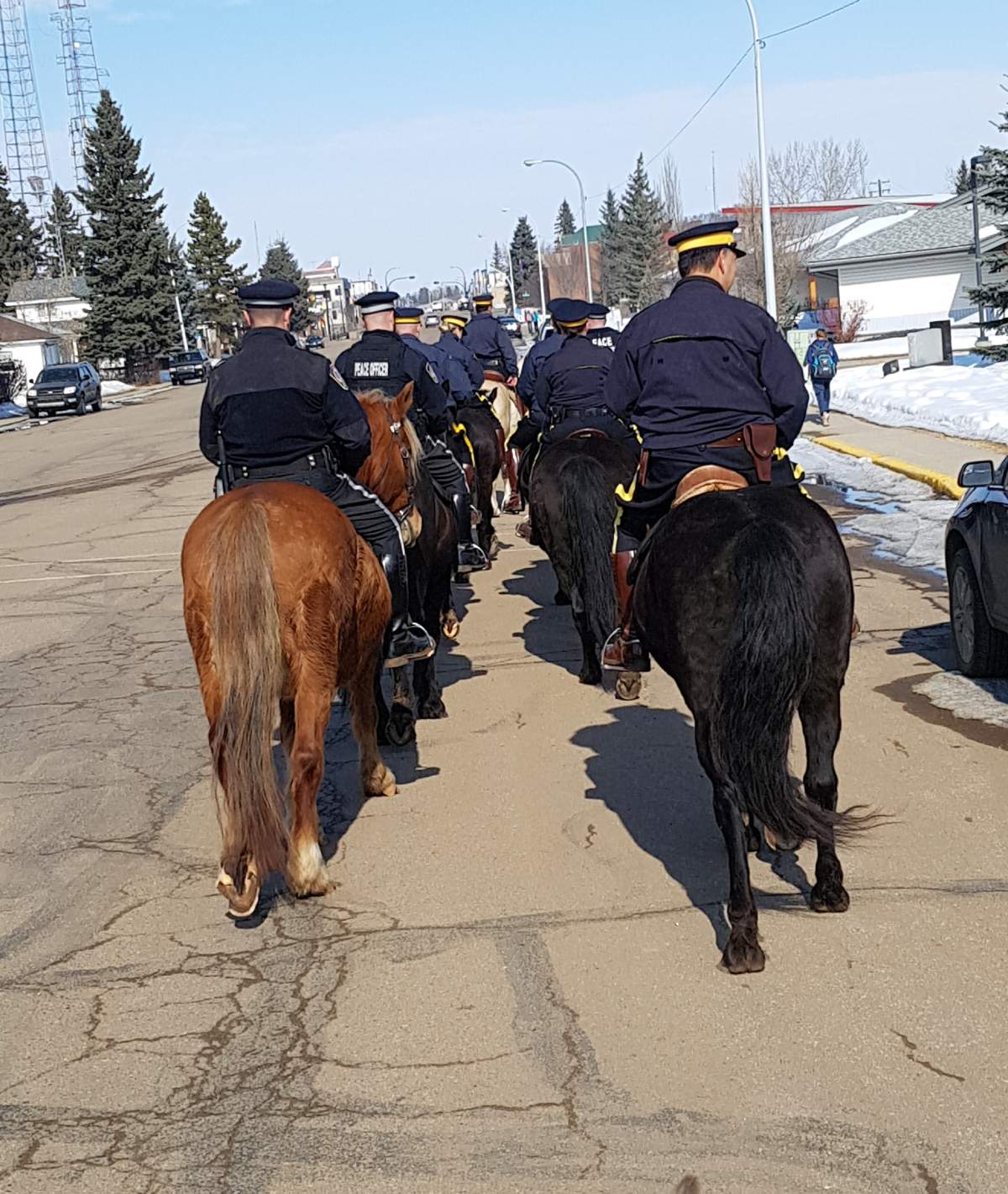 Strathcona County RCMP members on horseback as part of the Mounted Riders program.
