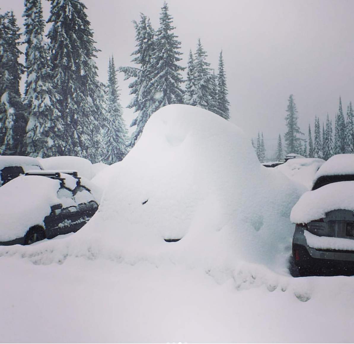 Silver Star celebrating snowiest season in nearly seven decades - image