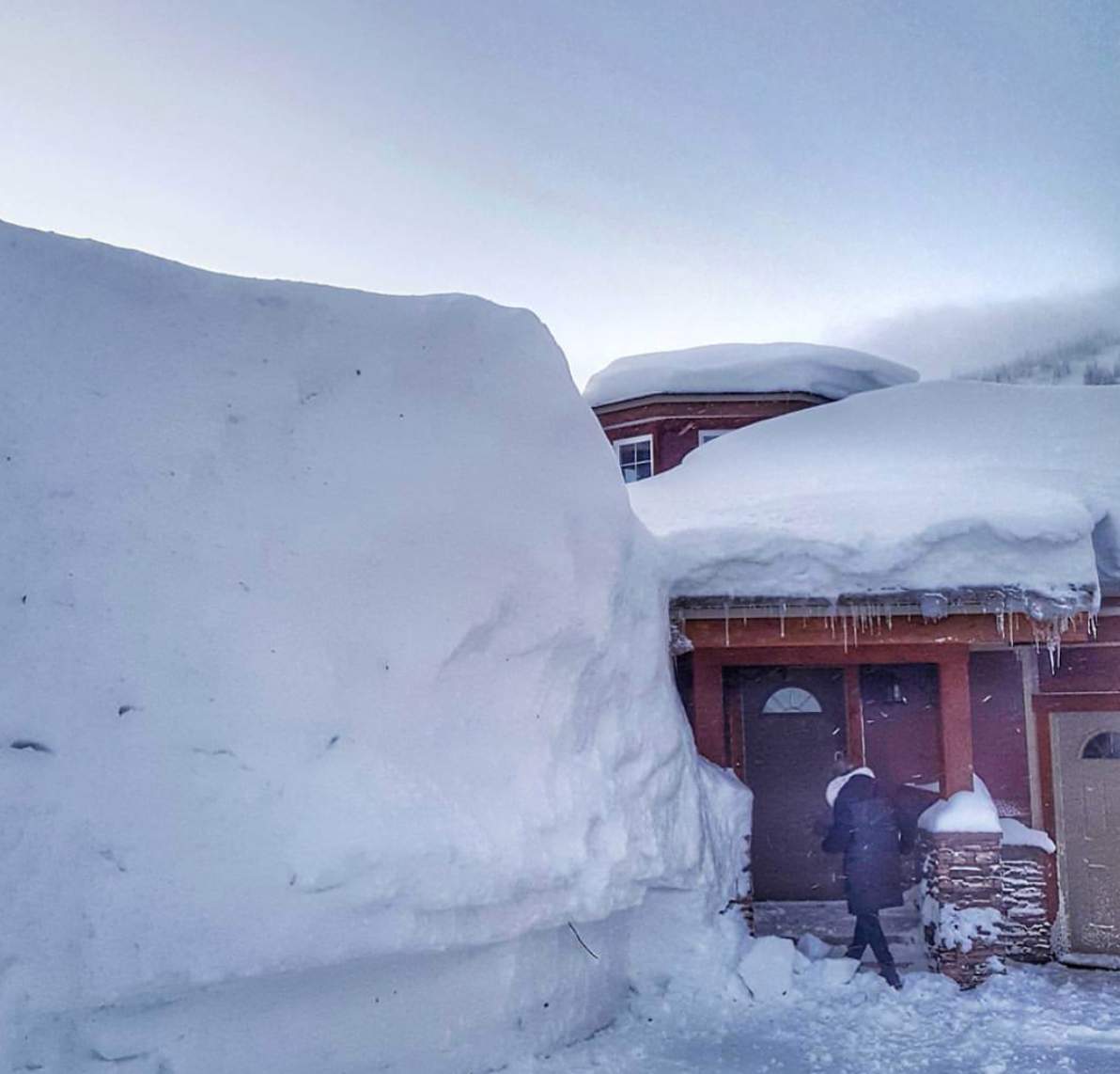 Silver Star celebrating snowiest season in nearly seven decades - image