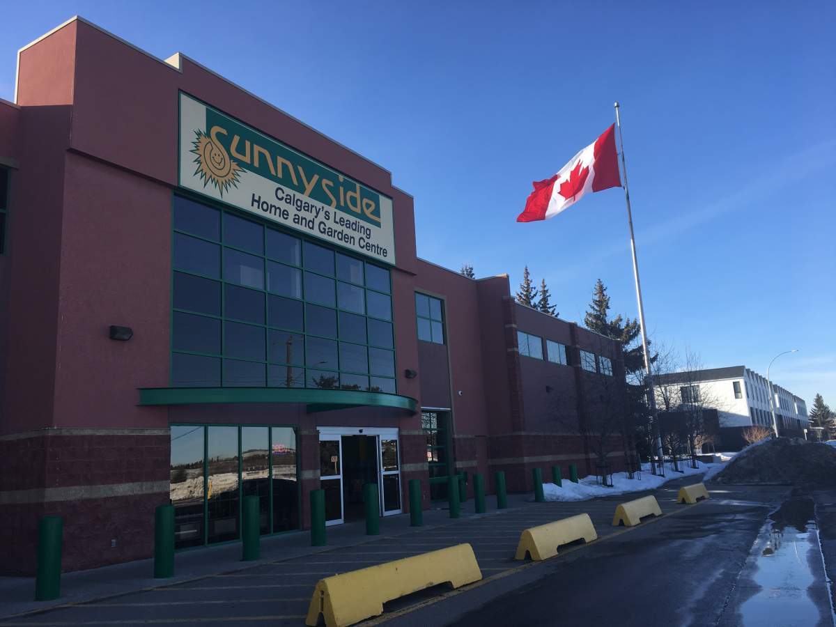 Sunnyside Greenhouses Ltd. is a family-owned business that has been in Calgary for 100 years.