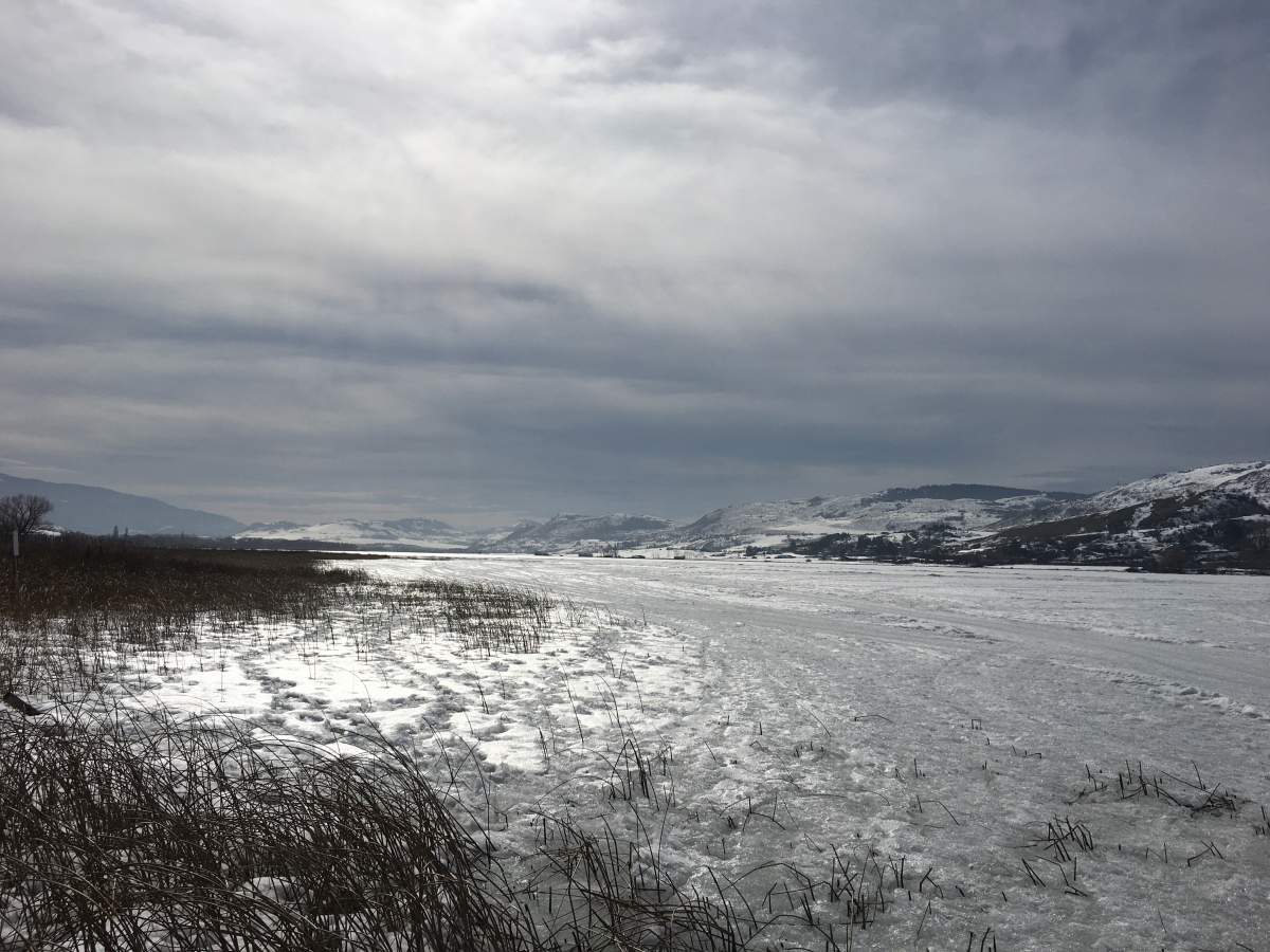The province is advising people to stay off the ice at Swan Lake. 