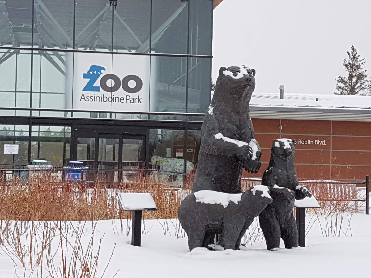 Assiniboine Park Zoo will be closed to the public from Jan. 6 to Jan. 12. 