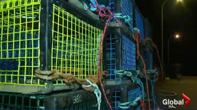 The Department of Fisheries and Oceans is investigating 33 licence holders for violating a ban on fishing equipment in waters closed to protect endangered North Atlantic Right whales.
