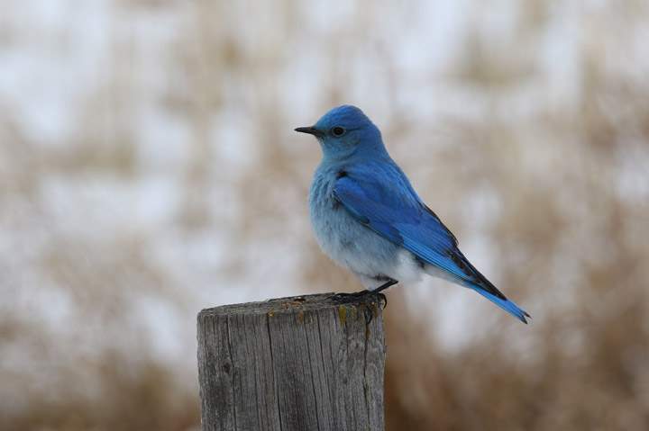 Brenda Gawluk took the April 20 Your Saskatchewan photo near Saskatoon.