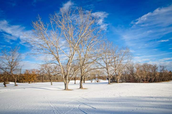 The April 30 Your Saskatchewan photo was taken by Kneale Quayle in Saskatoon.