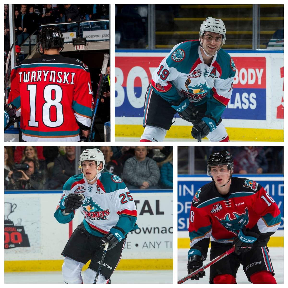Former Kelowna Rockets shine in AHL debut - image