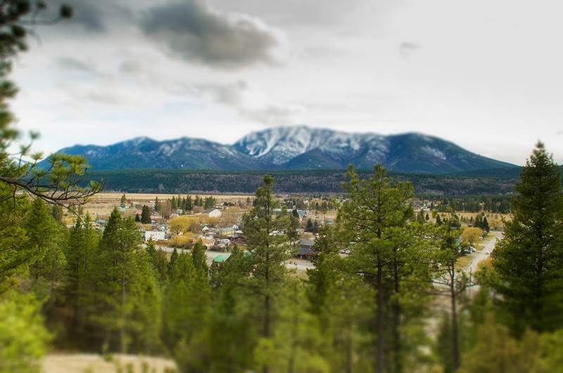 The body of an Edmonton man who was swept down the Kootenay River in southeastern B.C. last month has been recovered.