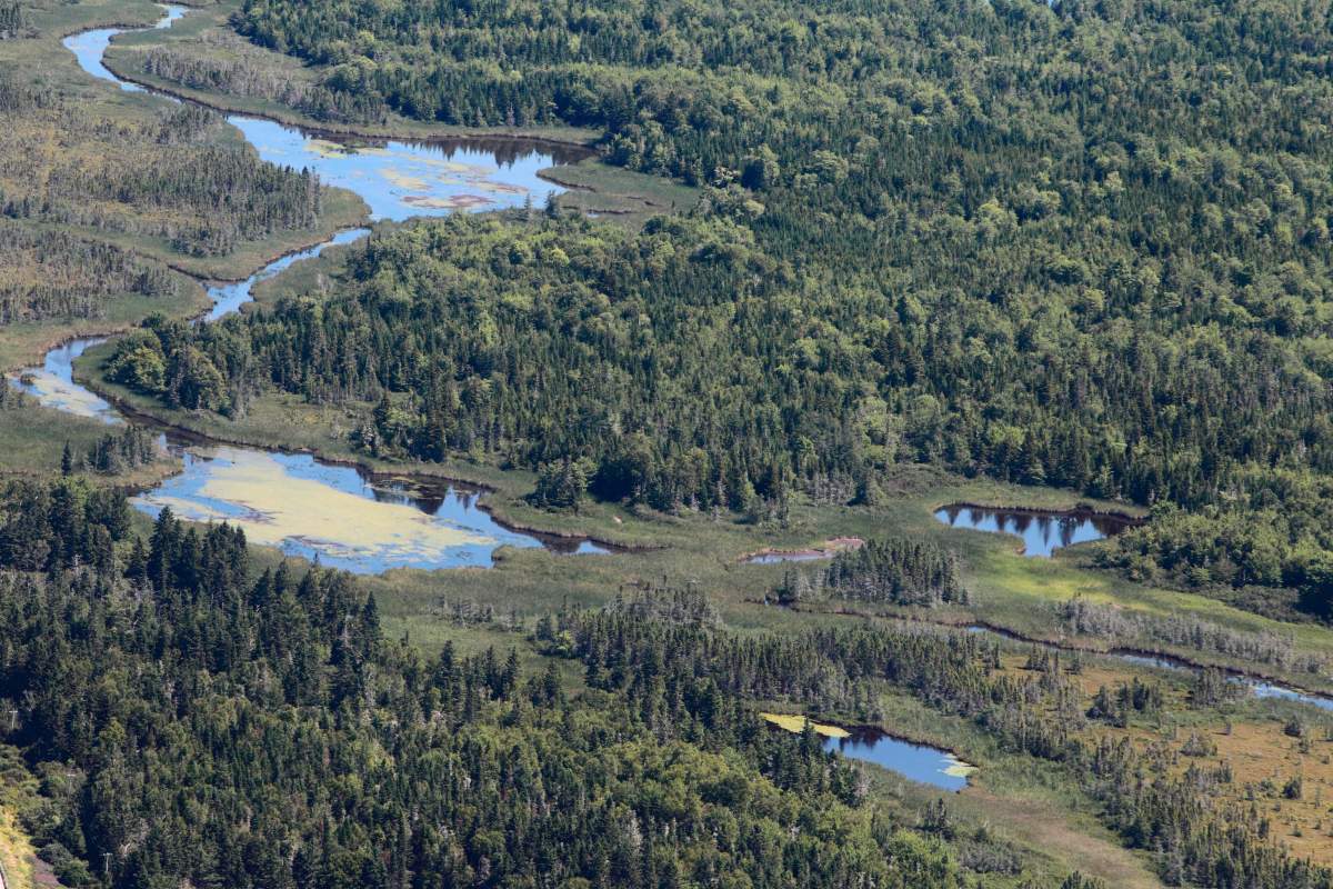Bids sought for ways to protect Chignecto Isthmus from risk posed by rising seas - image