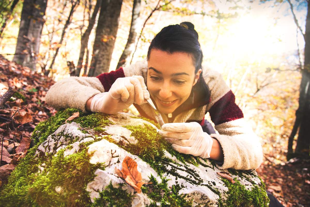 Demand for ecologists has spiked 98 per cent over a three-year period, according to Indeed Canada data.