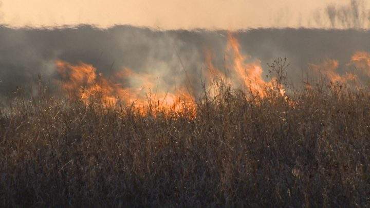 Spring weather creating challenges for Saskatoon emergency crews - image