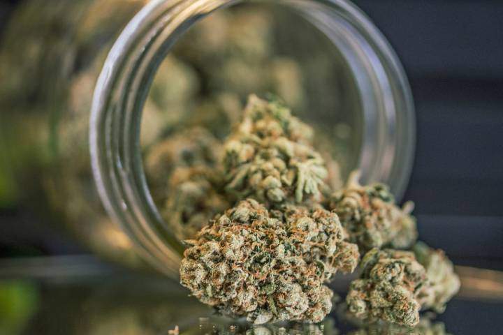 Manitobans will not have to pay PST on pot when it becomes legal.