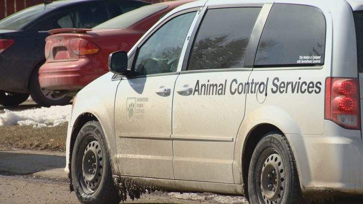 Saskatoon police were called to a dog attack in the River Heights neighbourhood Thursday.