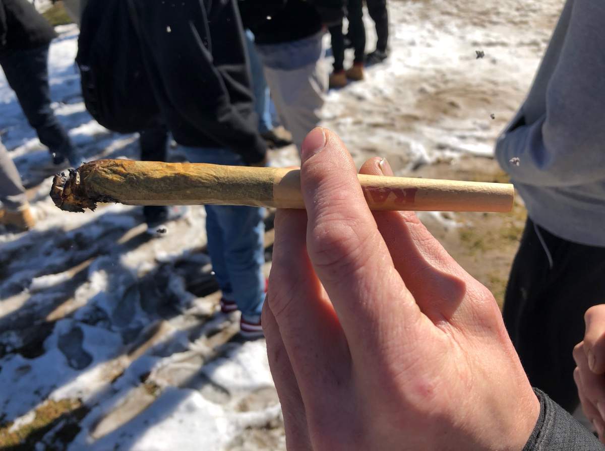 Dozens of students gathered at Johnston Green at the University of Guelph for the annual 4/20 celebration.