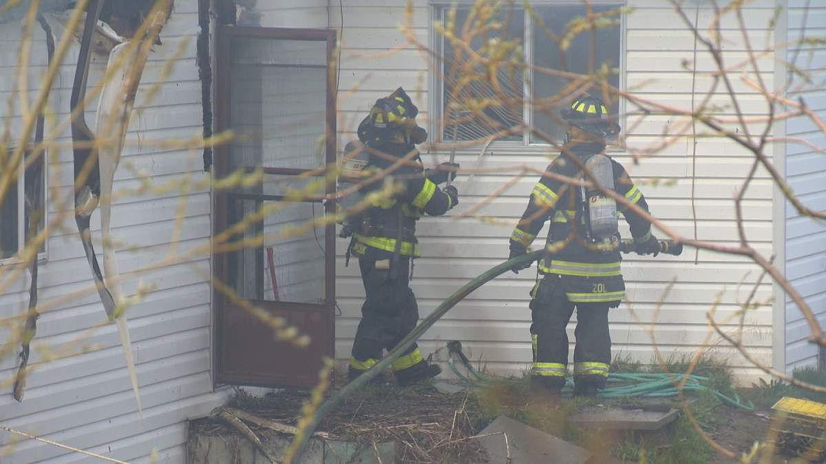 Several pets die in Kelowna house fire - image