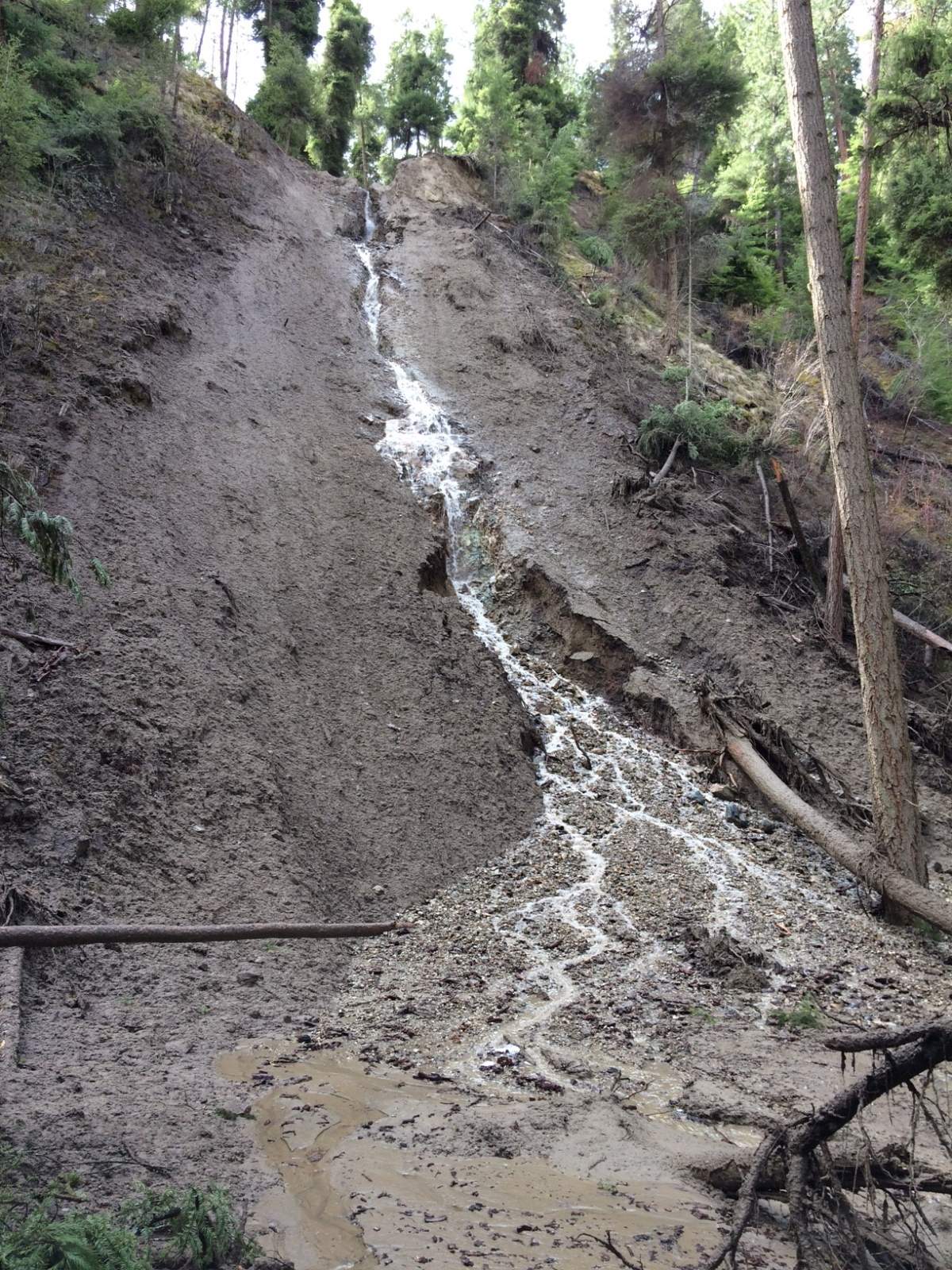 Washouts have closed part of Mission Creek Greenway.