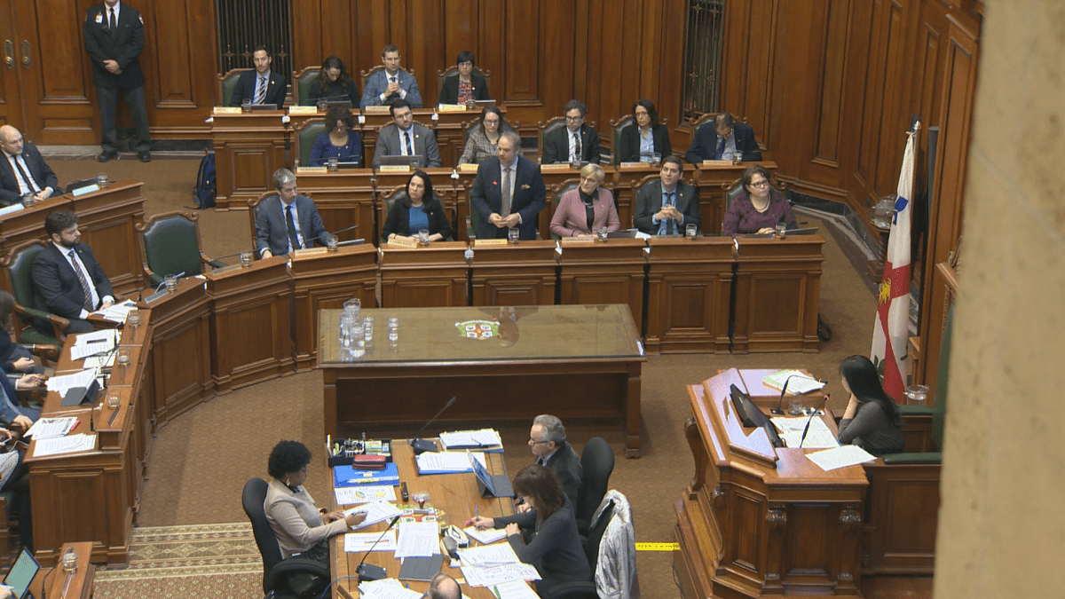 The city will hold public consultations this year.