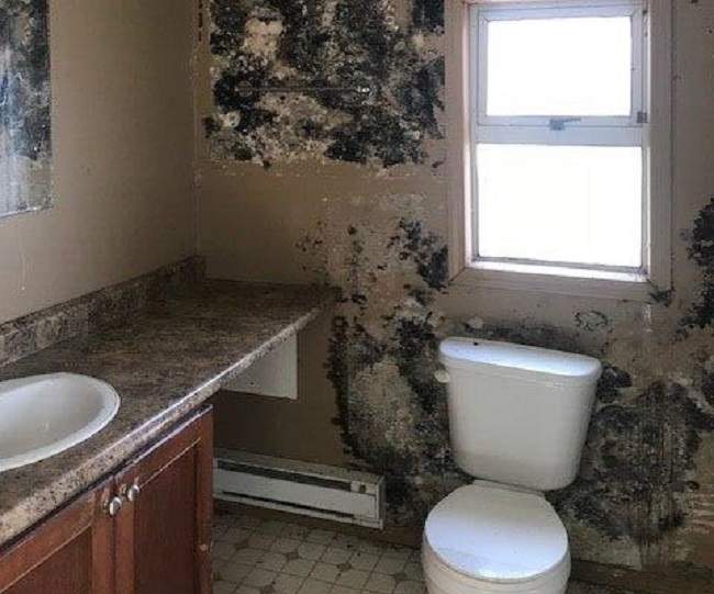 "As you walk in the smell gets you and it's like something was living on the walls just creeping over the walls," said Jason Jones of this rental bathroom.