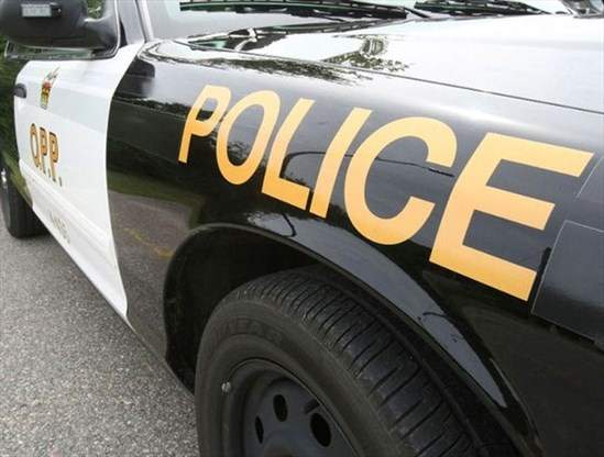 The OPP says it's looking for a suspect spotted lighting a grass fire and playing a musical instrument in Ingersoll Saturday night.